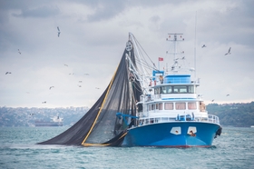 Marine Liability, Hull & P&I